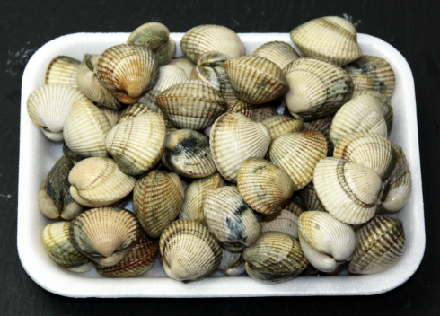 Żabnicowate